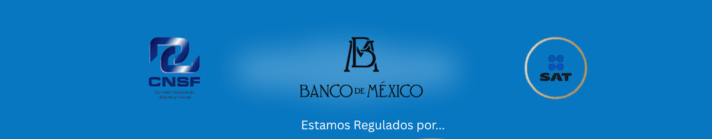 Te garantizamos un Plan de Retiro real y una Estrategia fiscal en 1 sesión-3
